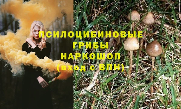 соль курить ск Алексеевка