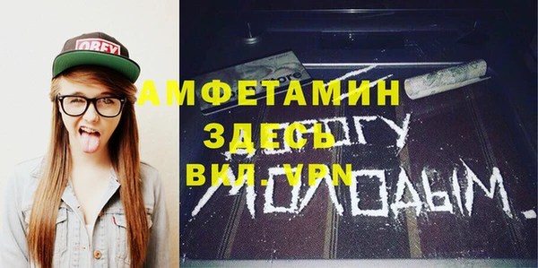 ECSTASY Алзамай