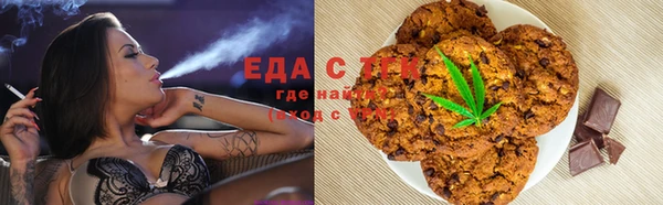 ECSTASY Алзамай