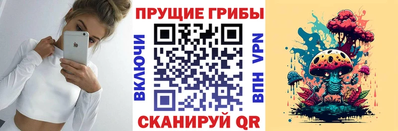 Псилоцибиновые грибы Psilocybine cubensis  OMG как зайти  Цоци-Юрт  закладка 